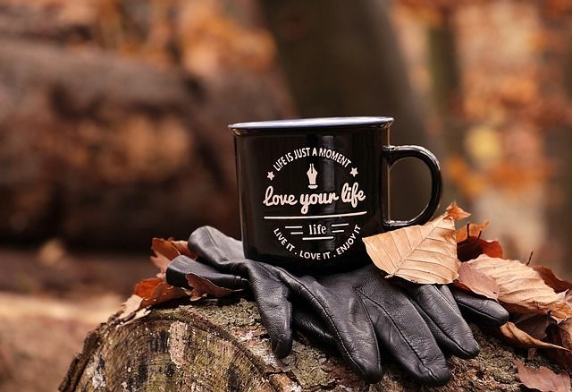 Merchandising de otoño
